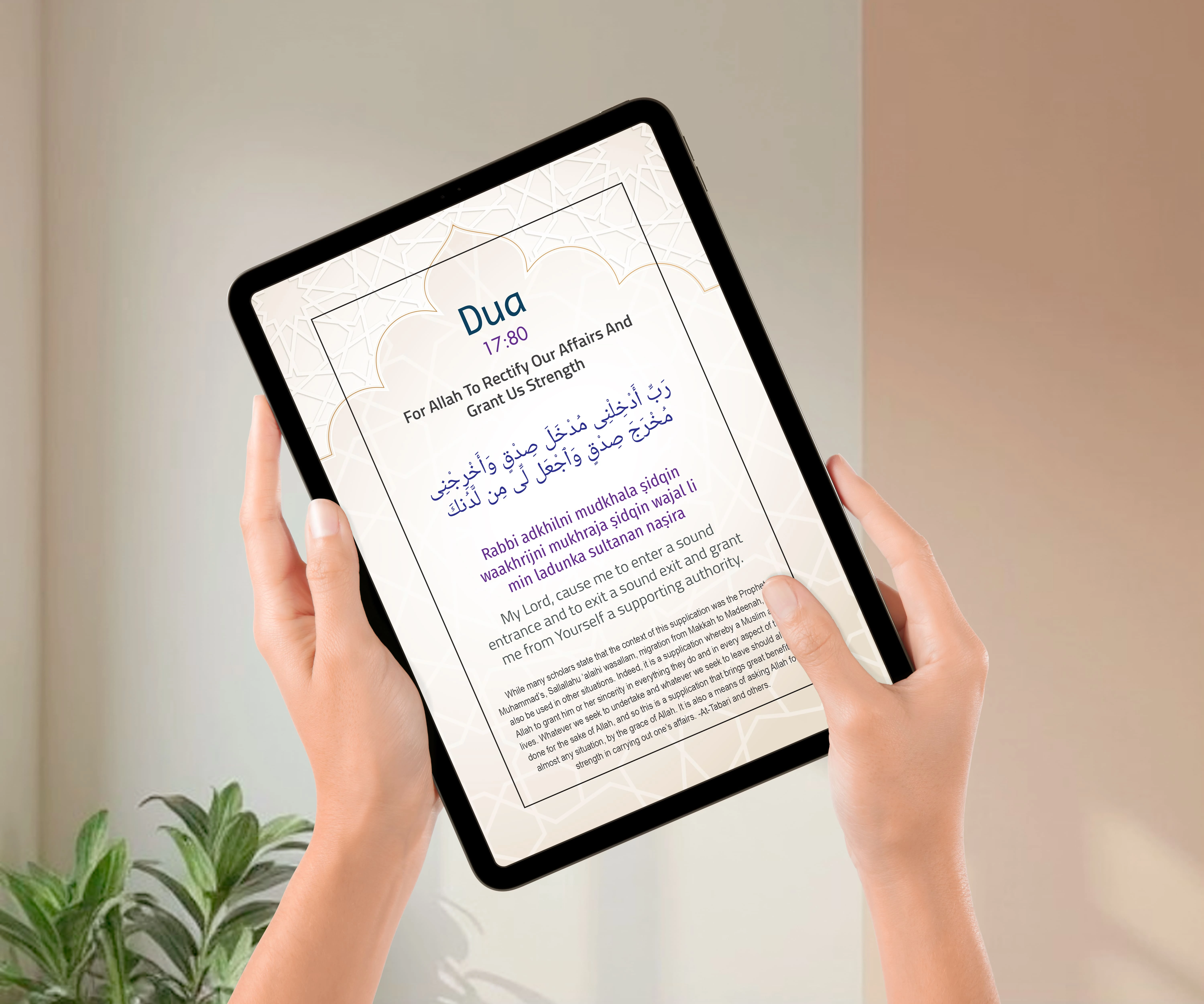 Kindle Edition